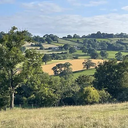 Panzió Farm - A Working Farm *